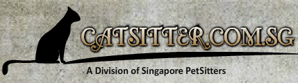 Cat Sitters Singapore